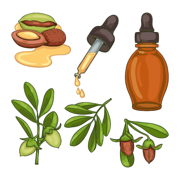 Free vector detailed jojoba element collection