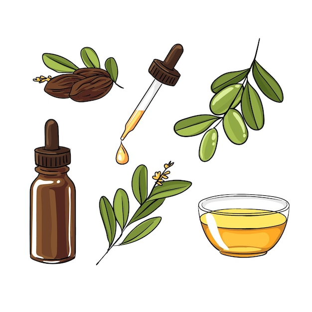 Free vector detailed jojoba element collection