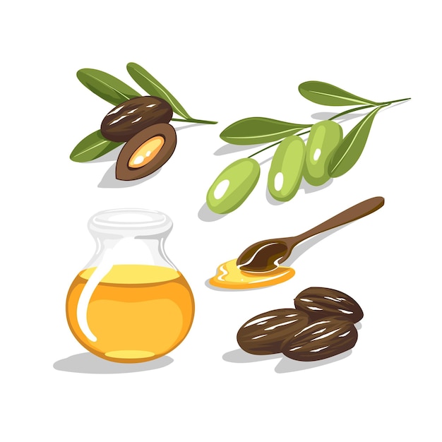 Free Vector detailed jojoba element collection