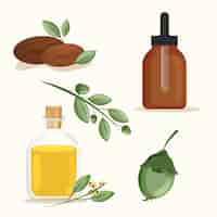 Free vector detailed jojoba element collection