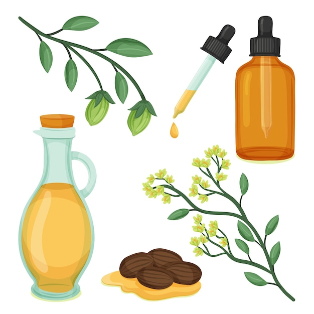 Free vector detailed jojoba element collection