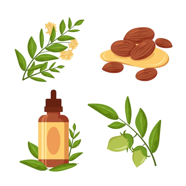 Free Vector detailed jojoba element pack