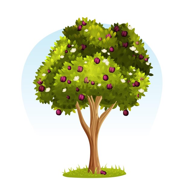 Detailed plum tree illustration