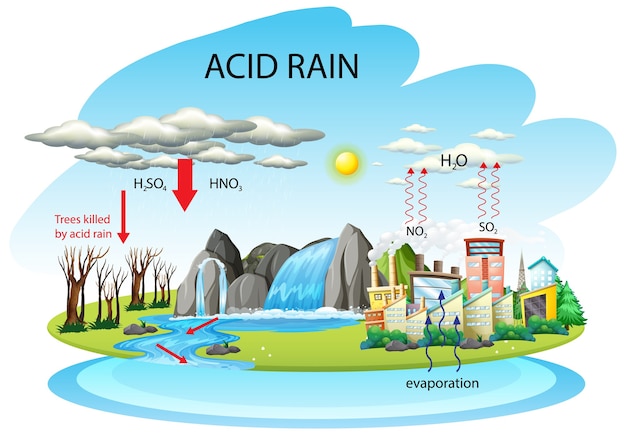 Free Vector diagram showing acid rain pathway on white background