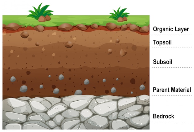 Diagram showing different layers of soil