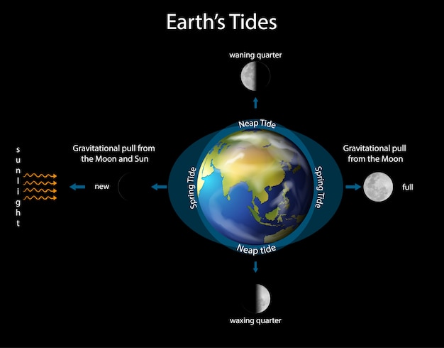 Diagram showing earth tides with earth and moon