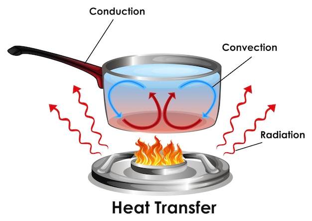 Free Vector diagram showing how heat transfer