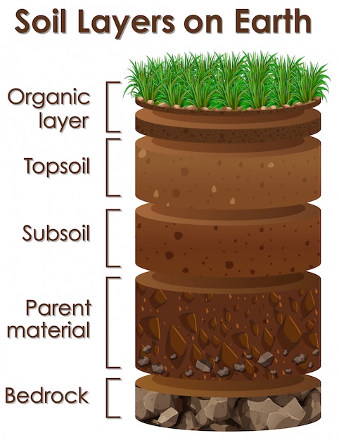 Free Vector diagram showing soil layers on earth