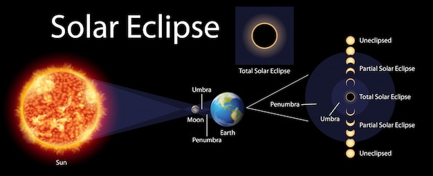 Free Vector diagram showing solar eclipse with sun and earth