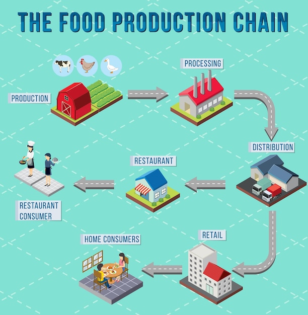 Free Vector diagram of supply chain management