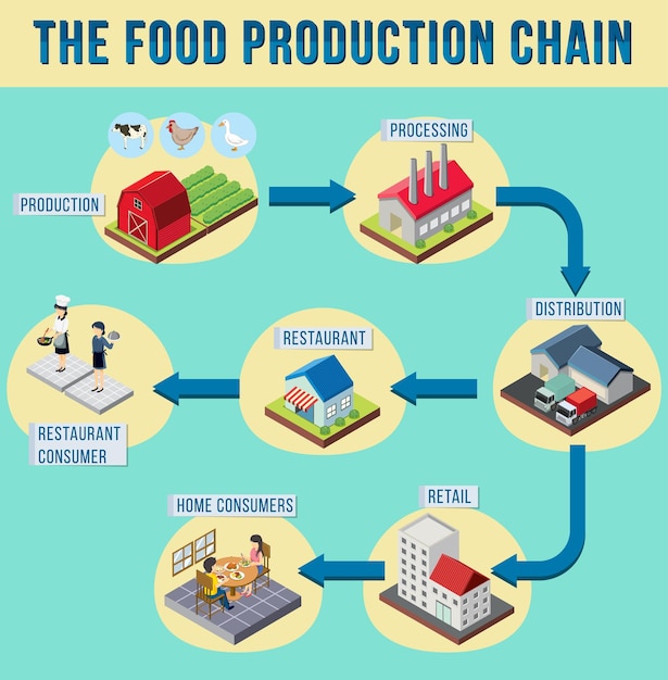 Diagram of supply chain management