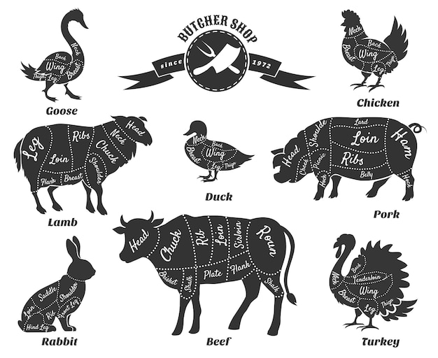 Free Vector diagrams for butcher shop set