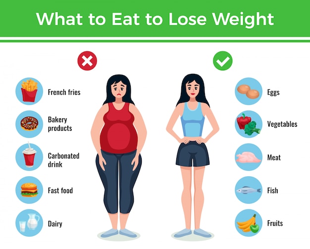 Diet infographics layout with information about what to eat to lose and gain weight cartoon illustration