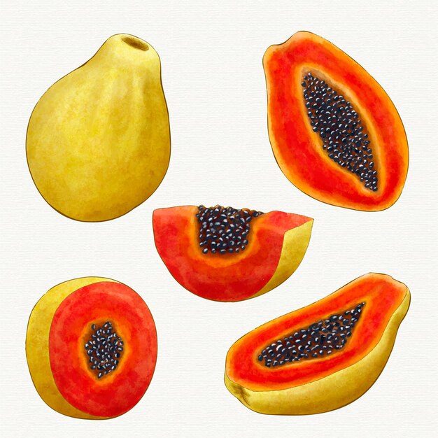 Different angles of papaya fruit