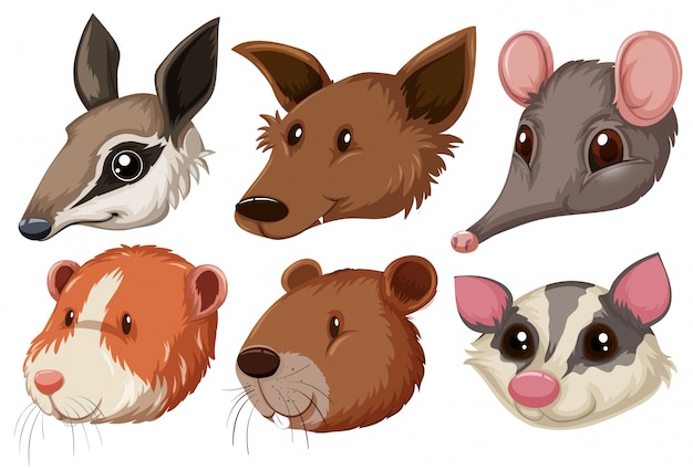 Free Vector different animal heads on white background illustration