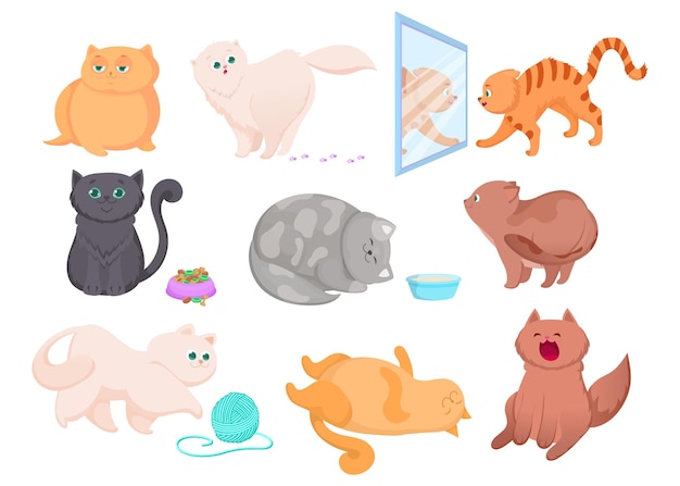 Different breeds of cute kittens illustrations set