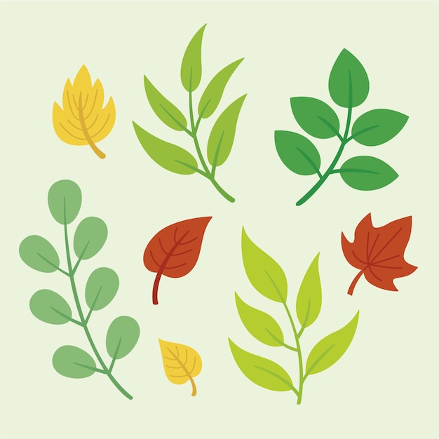 Different colorful leaves collection flat design