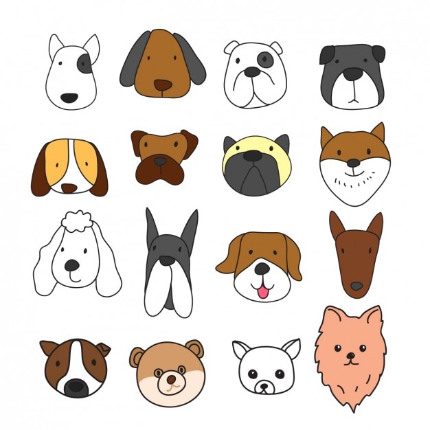 Different dog faces collection