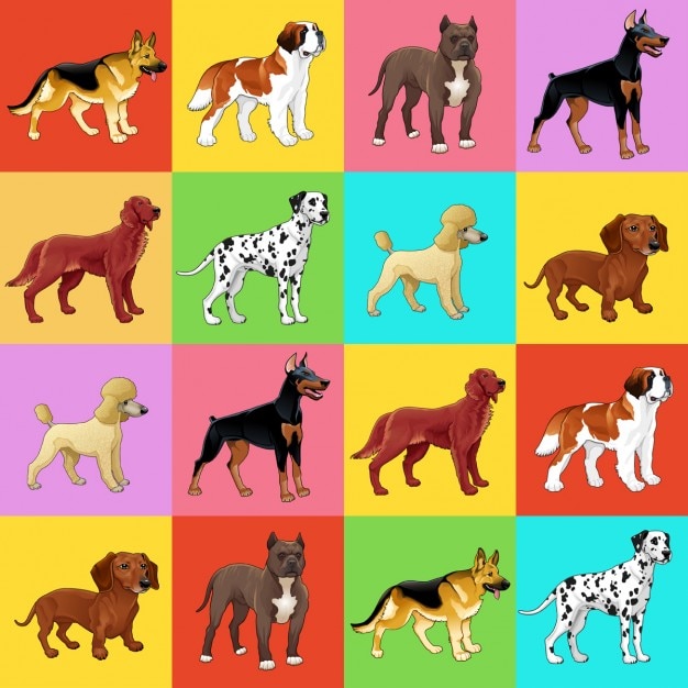 Free Vector different dogs