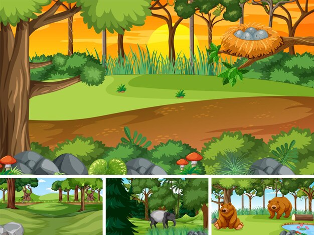 Different forest scenes with wild animals