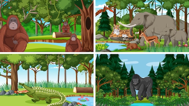 Different forest scenes with wild animals