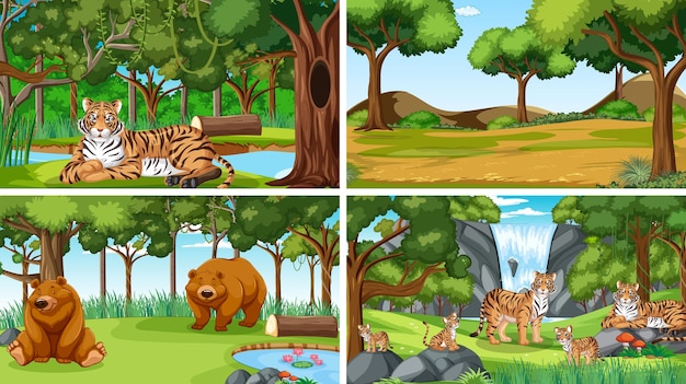 Free vector different forest scenes with wild animals