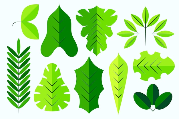 Different green leaves flat design