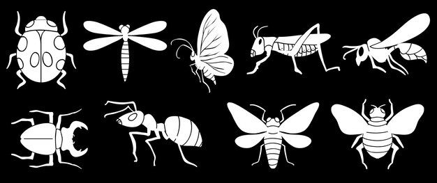 Different insects