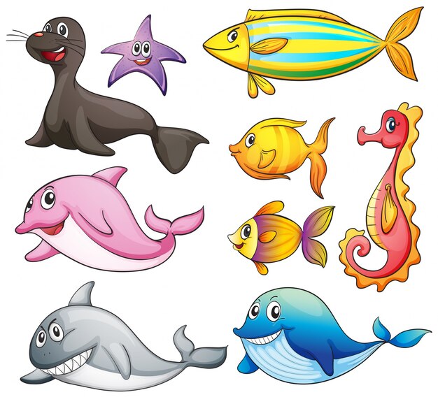 Different kind of cute sea animals