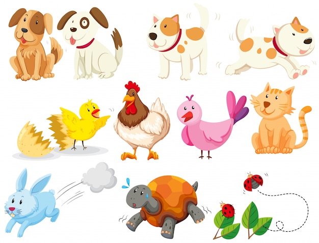 Free Vector different kind of domestic animals illustration