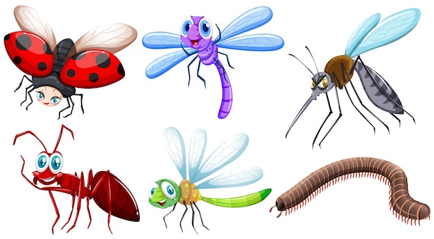 Free vector different kind of insects illustration