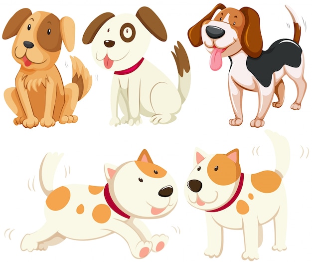 Different kind of puppy dogs illustration