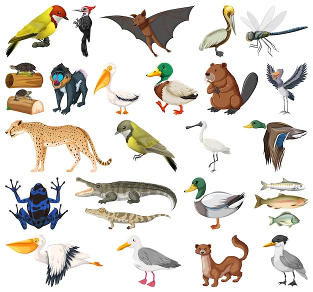 Free Vector different kinds of animals collection