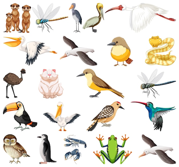 Free Vector different kinds of animals collection