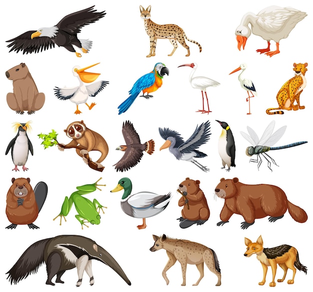 Different kinds of animals collection