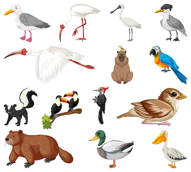 Different kinds of animals collection