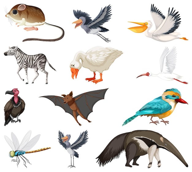 Free Vector different kinds of animals collection