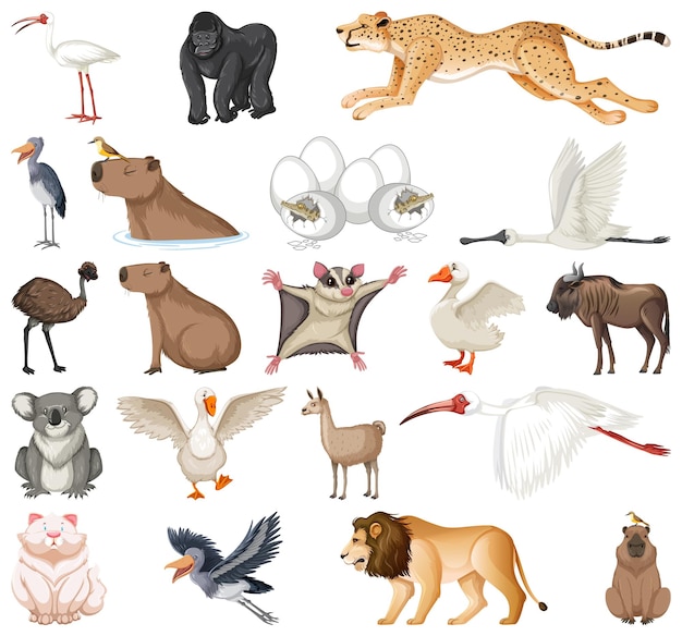 Free Vector different kinds of animals collection