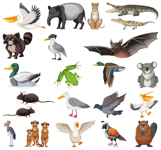 Different kinds of animals collection