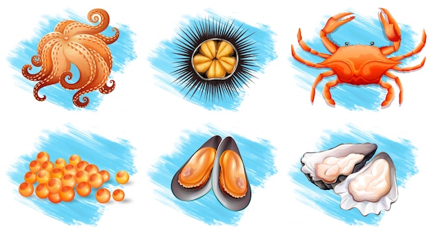 Free Vector different kinds of fresh seafood