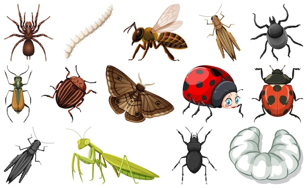 Free Vector different kinds of insects collection