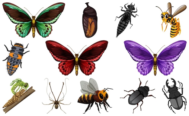 Free Vector different kinds of insects collection