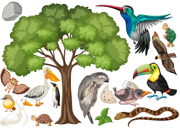 Different kinds of wild animals collection