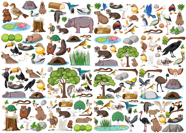 Different kinds of wild animals collection