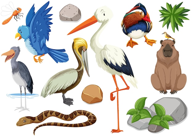 Free Vector different kinds of wild animals collection