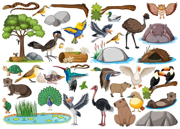 Different kinds of wild animals collection