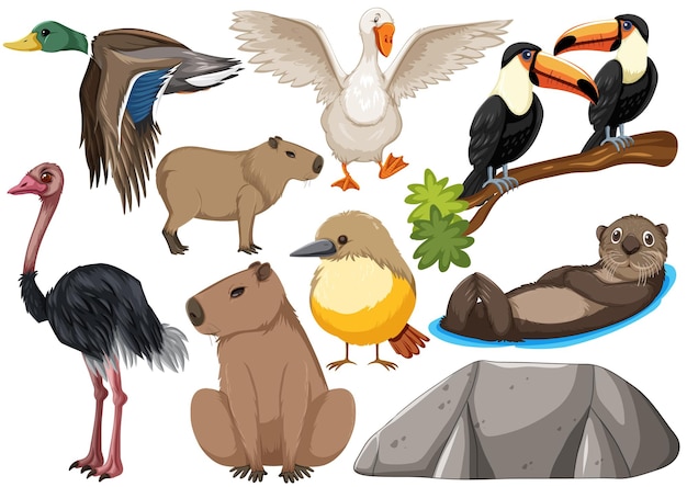 Different kinds of wild animals collection