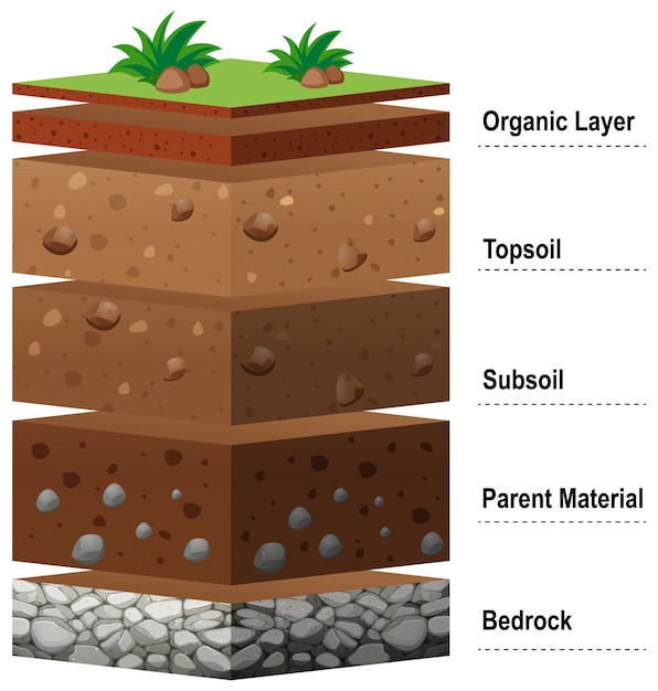 Different layers of soil on earth