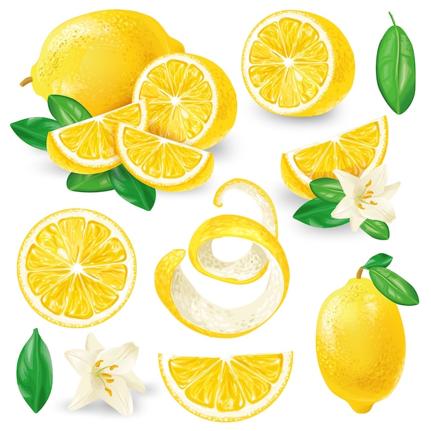 Free vector different lemons with leaves and flowers vector