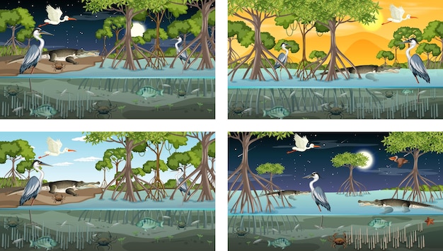 Free Vector different mangrove forest landscape scenes with animals and plants